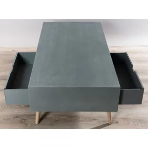 MACABANE Table Basse 1 Niche 2 Tiroirs – Gris 9