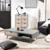 MACABANE Table Basse 1 Niche 2 Tiroirs – Gris 17