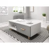 VIVALDI Sweden Table Basse Blanc Mat Avec Gris Brillant 16