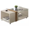 Caemmum Table Basse Vitrée Blanc Ecru Chêne 7