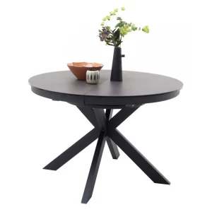 Inside 75 Table Ronde Extensible Design WINNIE Diamètre 120cm Gris Céramique… 9