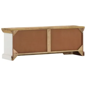 VidaXL Meuble TV 110x30x40 Cm Bois Massif De Manguier 15