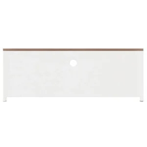 VidaXL Meuble TV Blanc 110x30x40 Cm Fer Et Bois De Sapin Massif 15